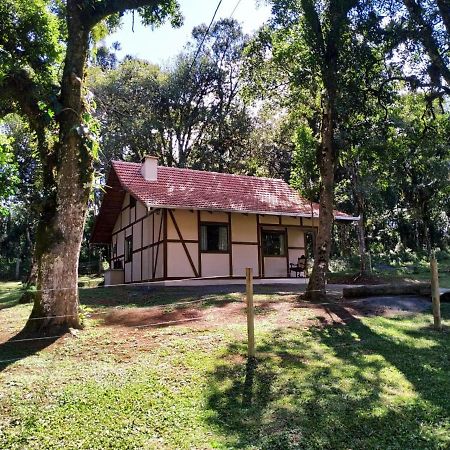 Casa Goethe - Bio Cult Vila Campo Alegre  Exterior foto